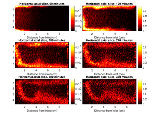 Geophysics